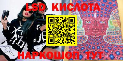 прущие грибы Гатчина