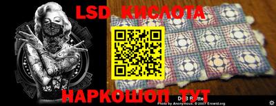 прущие грибы Гатчина