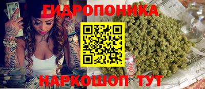 прущие грибы Гатчина