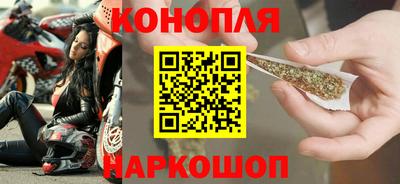 прущие грибы Гатчина