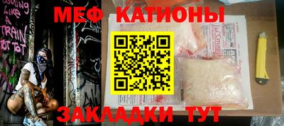 прущие грибы Гатчина
