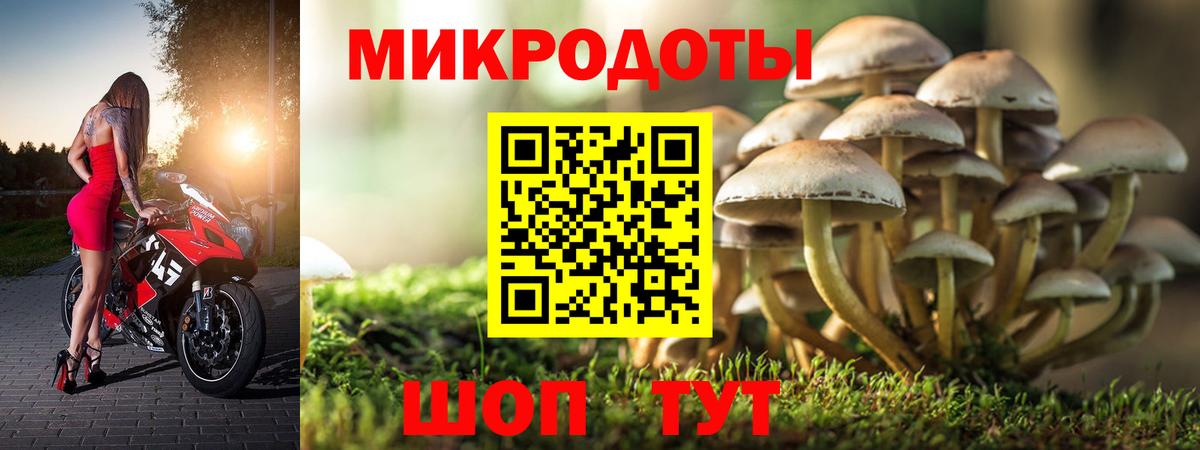 Псилоцибиновые грибы Psilocybine cubensis  Вход с VPN  Медногорск 